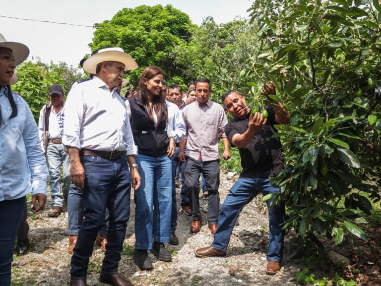 Cuernavaca impulsa el campo con inversión histórica y mantiene libre de plagas a Buenavista del Monte