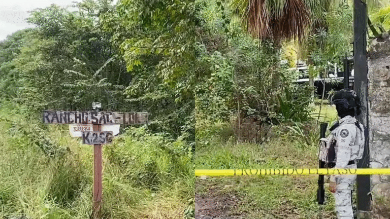 Hallan cementerio clandestino en Puerto Morelos, Quintana Roo
