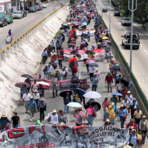 CETEG marcha en Autopista del Sol y realiza tomas de casetas en Guerrero