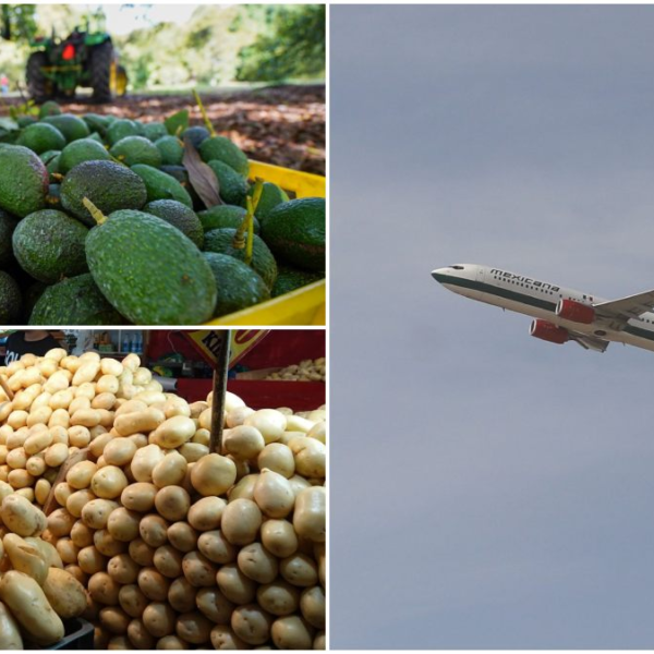 Baja inflación, pero suben aguacate y vuelos
