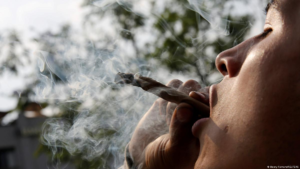 SCJN avala amparos colectivos por cannabis