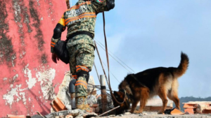 Perro rescatista mexicano resultó herido tras salvar a 7 personas