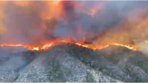 Incendio forestal deja 12 muertos en el sur de España