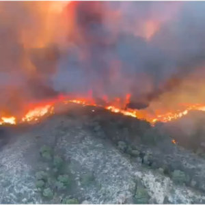 Incendio forestal deja 12 muertos en el sur de España