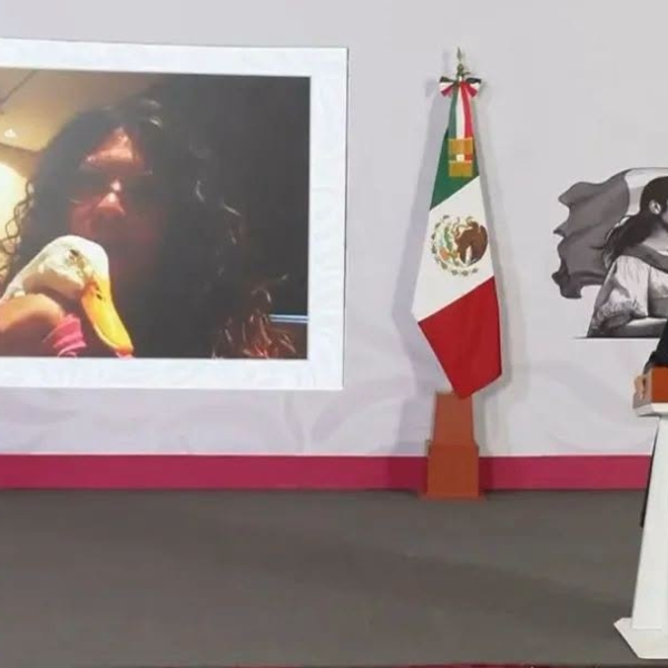 Sheinbaum apoyó a familia del pato Merlín para acceder a vivienda