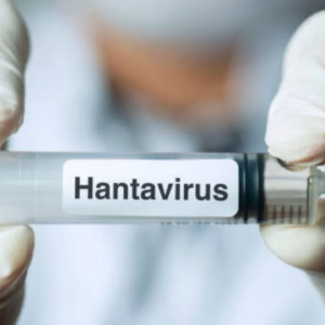 OMS da por terminado el brote de hantavirus en el crucero