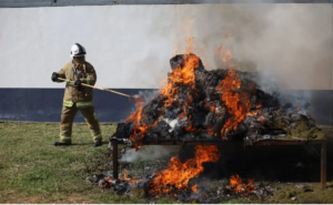 FGR destruye más de 850 kilos de droga en Oaxaca