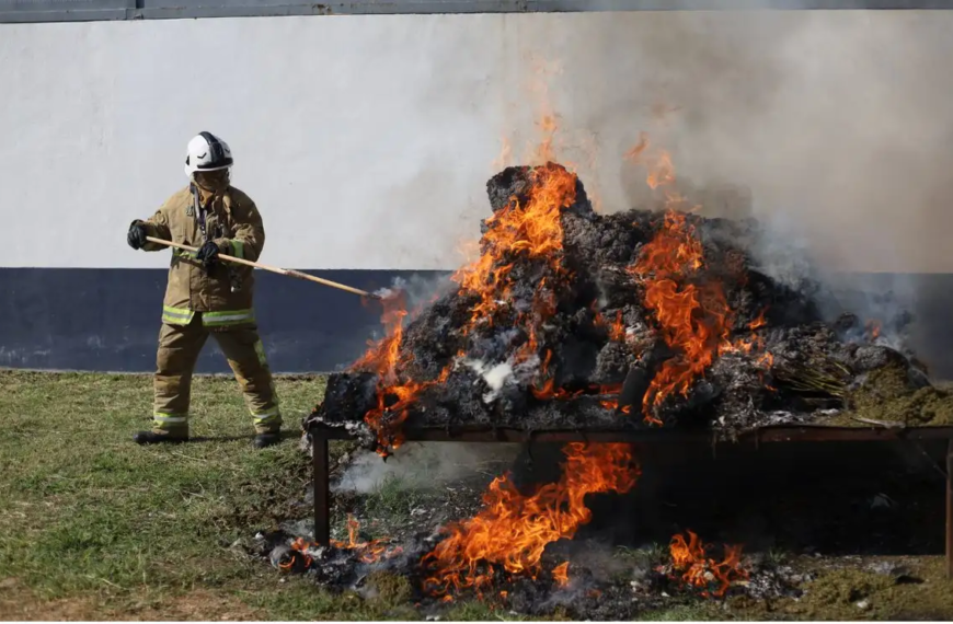 FGR destruye más de 850 kilos de droga en Oaxaca