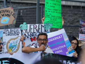 Buscan que la SCJN atraiga amparos contra modificaciones al Desarrollo Urbano de Mahahual