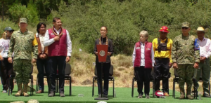 Inicia Jornada Nacional de Reforestación 2026; buscan plantar 6.6 millones de árboles