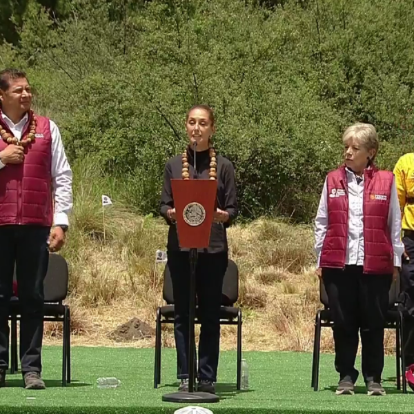Inicia Jornada Nacional de Reforestación 2026; buscan plantar 6.6 millones de árboles