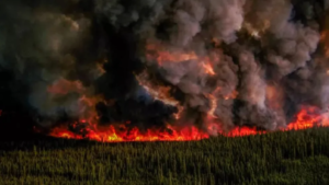 Incendio forestal obliga a evacuar a miles de personas en Columbia Británica