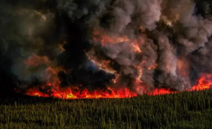 Incendio forestal obliga a evacuar a miles de personas en Columbia Británica