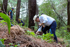 Reforestan el paraje Los Marranitos para preservar zona forestal de Cuernavaca