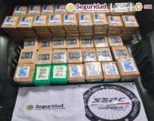 Aseguran 217 kilos de cocaína en la carretera México-Cuernavaca