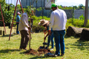Ayuntamiento de Cuernavaca realiza jornada de reforestación en el Parque Bicentenario