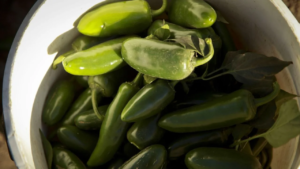 Brote de salmonela vinculan a jalapeños de Sinaloa