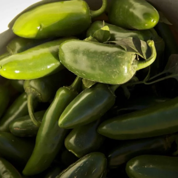 Brote de salmonela vinculan a jalapeños de Sinaloa