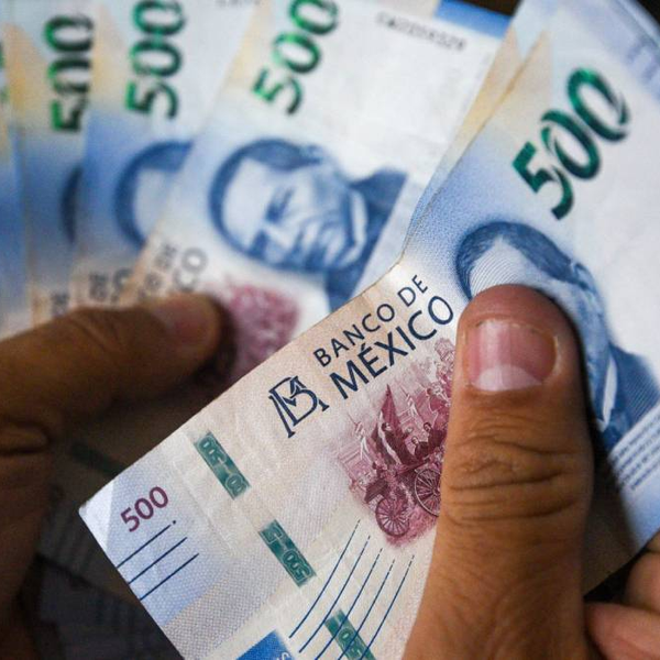 Guanajuato ofrece apoyo de 7 mil pesos a emprendedores