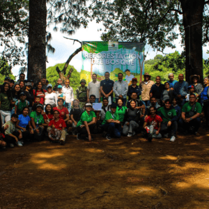 Cuernavaca planta más de siete mil árboles en bosques de la zona norte
