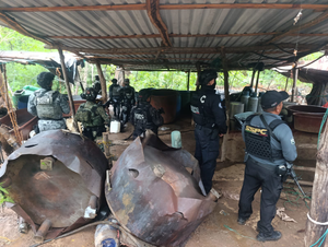 Desmantelan tres laboratorios clandestinos de metanfetamina en Guerrero