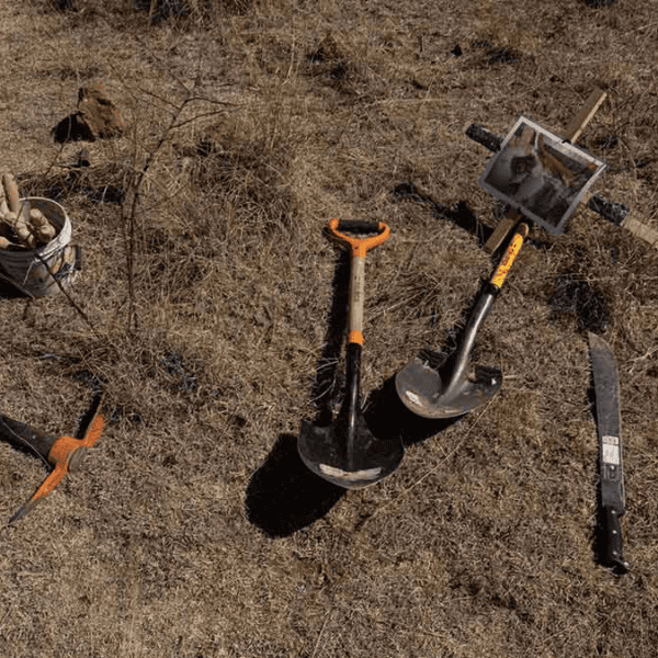 FGR reporta 32 fosas clandestinas en 2025; estados, 651