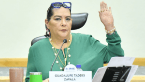 Taddei descarta dejar la presidencia del INE