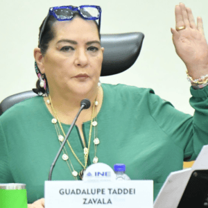 Taddei descarta dejar la presidencia del INE