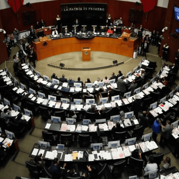Senado declara constitucional reforma sobre doble nacionalidad para cargos públicos